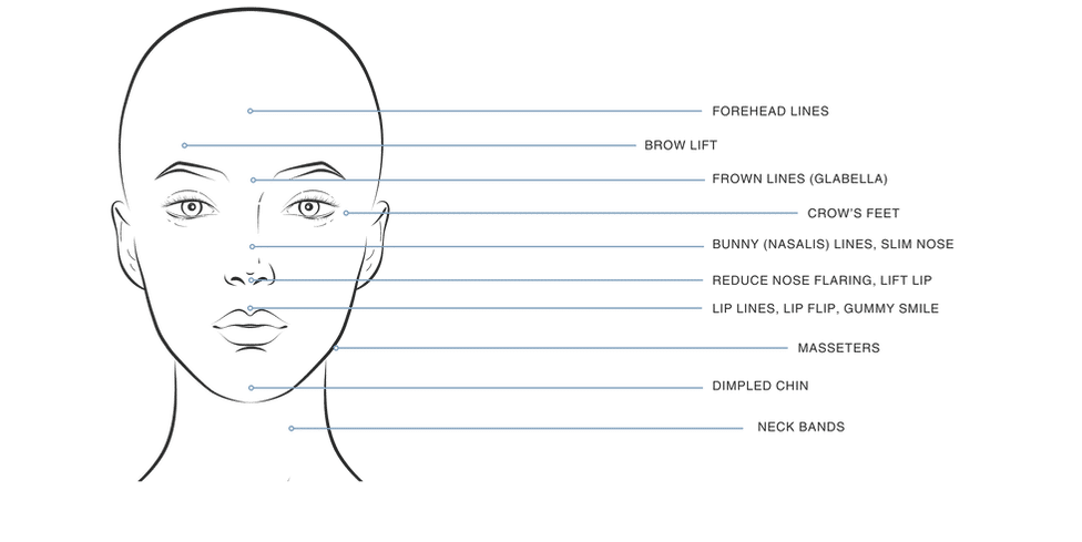 Botox%2520Grid%2520Diagram