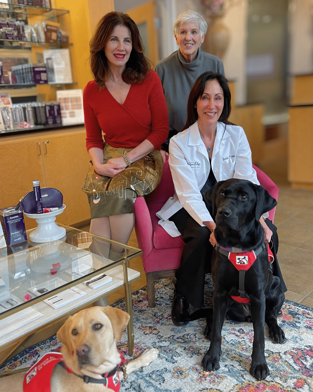 Radiesse Special Image